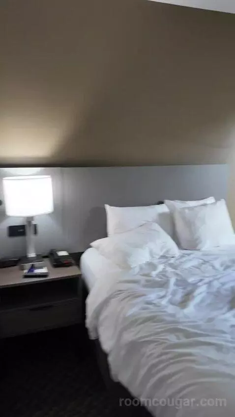 2 Double Beds bed picture #4