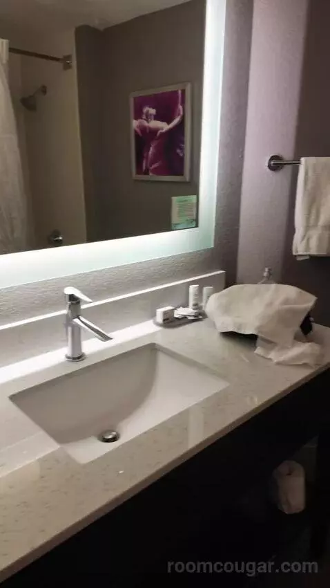 2 Double Beds bathroom picture #7