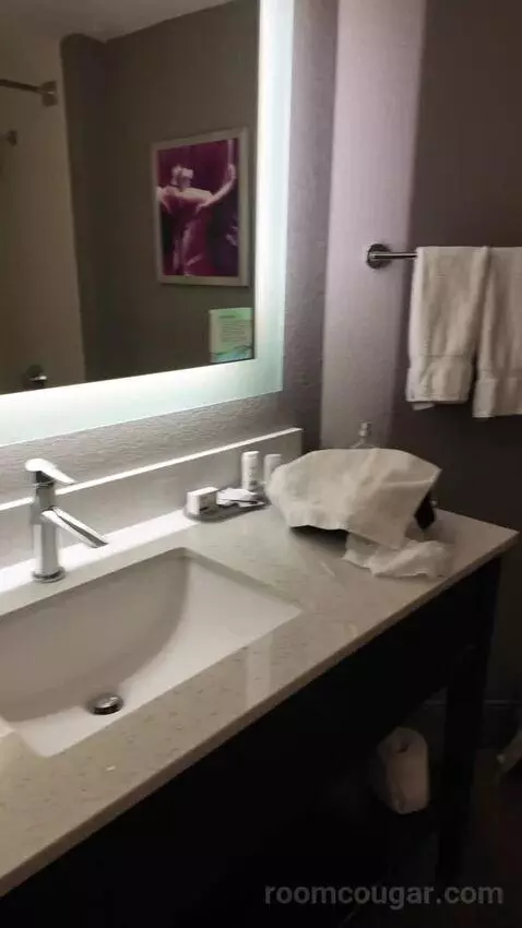 2 Double Beds bathroom picture #8
