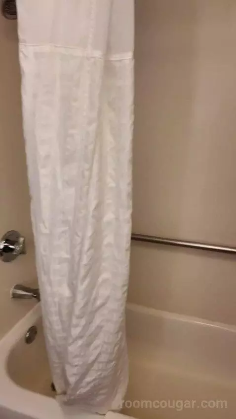 2 Double Beds bathroom picture #10