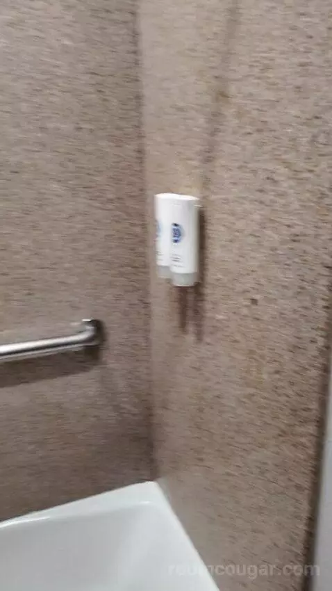 Queen Suite with Two Queen Beds - Disability Access bathroom picture #7