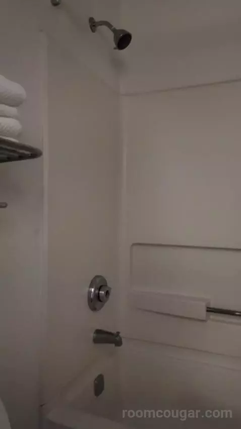 Queen Room with Two Queen Beds bathroom picture #7