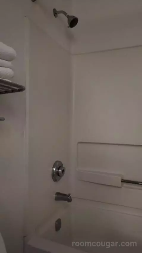 Queen Room with Two Queen Beds bathroom picture #8