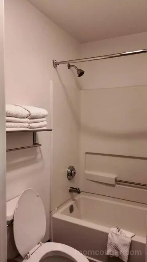 Queen Room with Two Queen Beds bathroom picture #9
