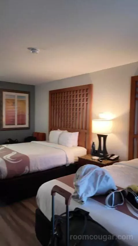 Queen Room with Two Queen Beds bed picture #3