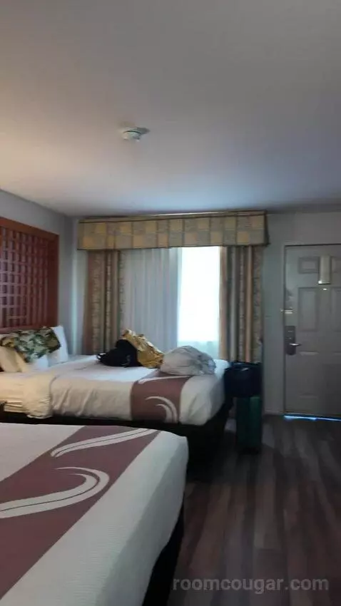 Queen Room with Two Queen Beds bed picture #12