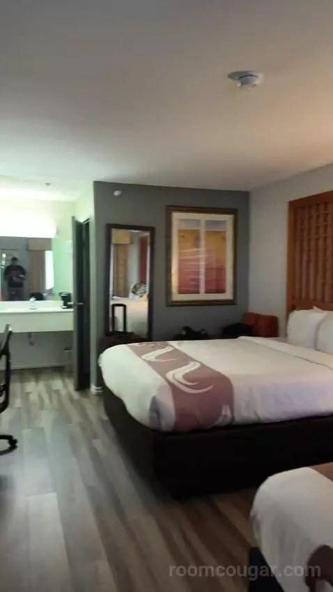 Queen Room with Two Queen Beds bed picture #5