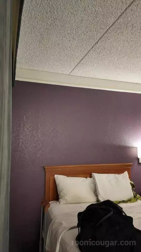 Double Room with Two Double Beds - Disability Access picture #1