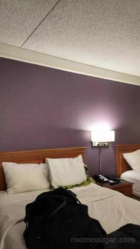 Double Room with Two Double Beds - Disability Access picture #2