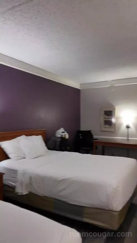 Double Room with Two Double Beds - Disability Access picture #23
