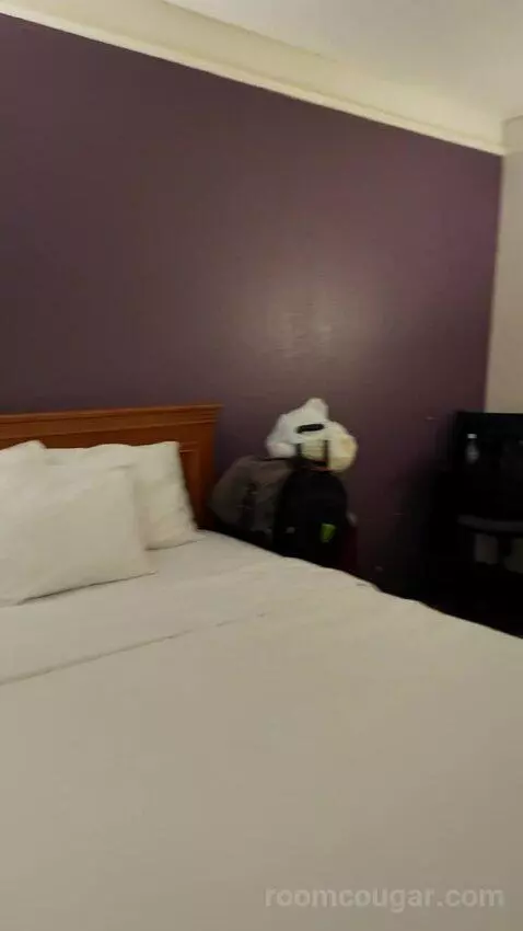Double Room with Two Double Beds - Disability Access picture #9
