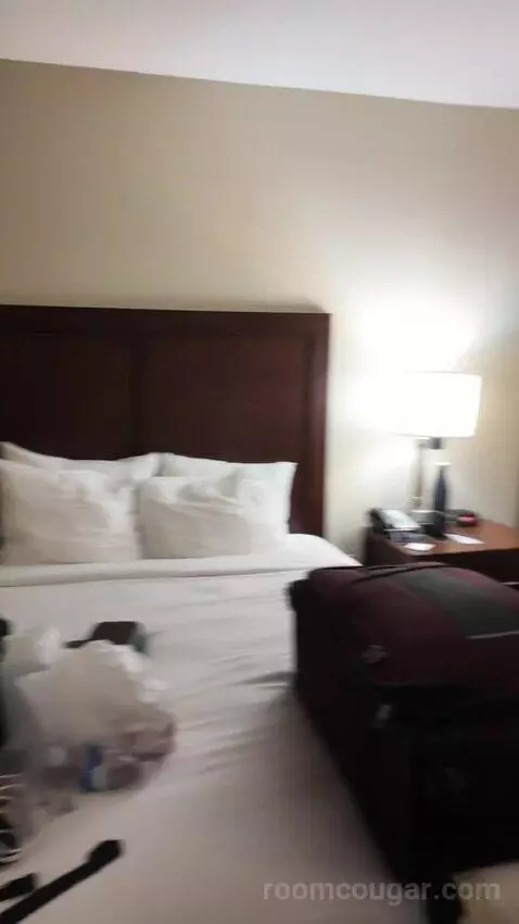 2 Doubles Room bed picture #9