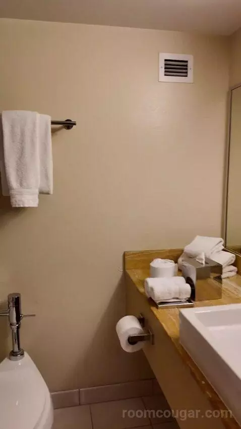 Grand Deluxe Double Queen Bed bathroom picture #4