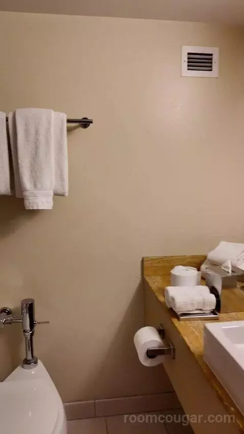 Grand Deluxe Double Queen Bed bathroom picture #5