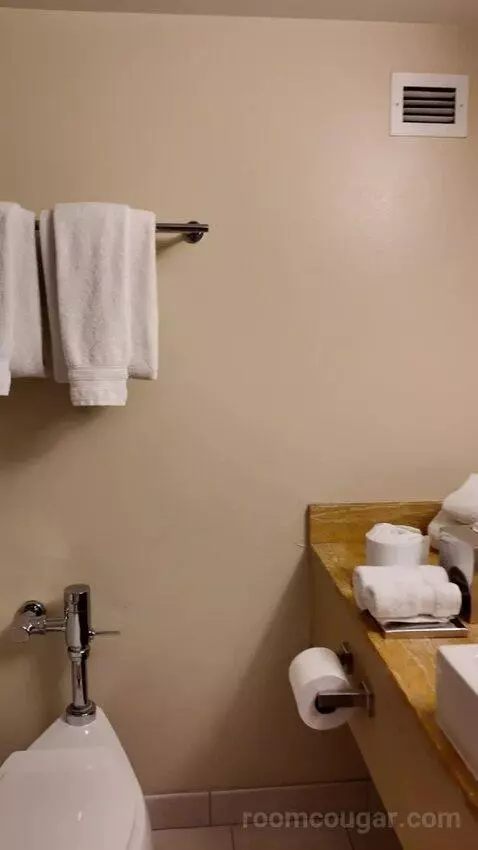 Grand Deluxe Double Queen Bed bathroom picture #6