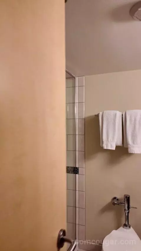 Grand Deluxe Double Queen Bed bathroom picture #10