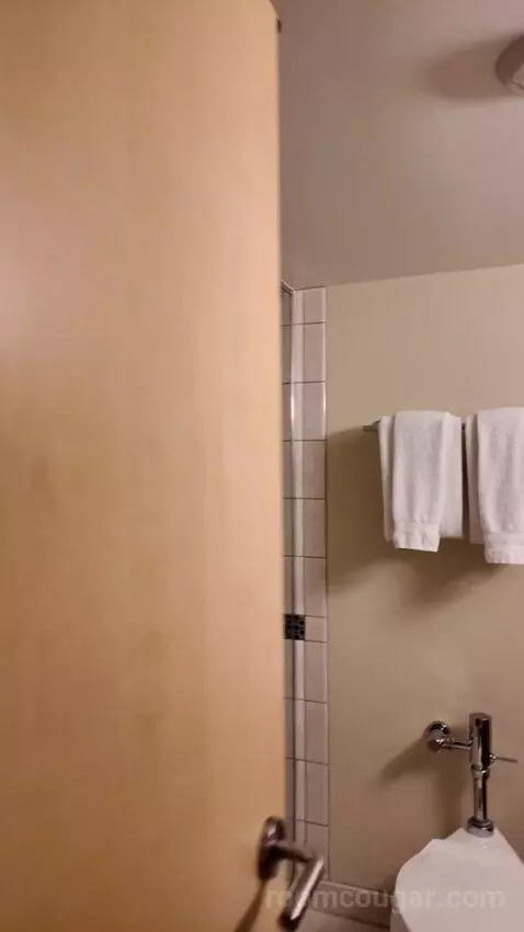 Grand Deluxe Double Queen Bed bathroom picture #11