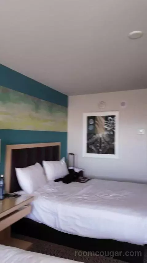 Grand Deluxe Double Queen Bed bed picture #5