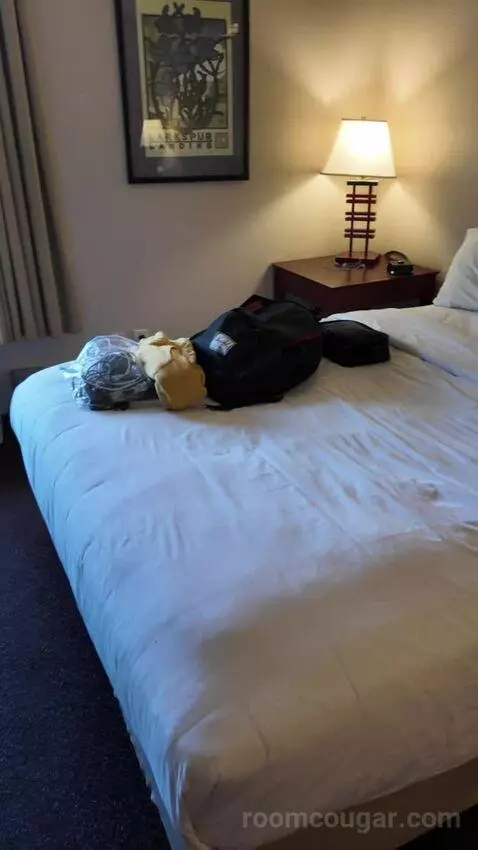 Double Suite bed picture #3
