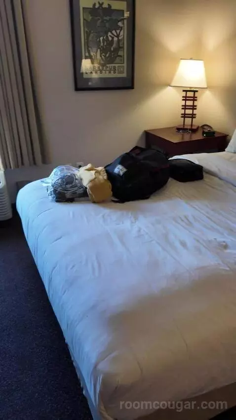 Double Suite bed picture #4