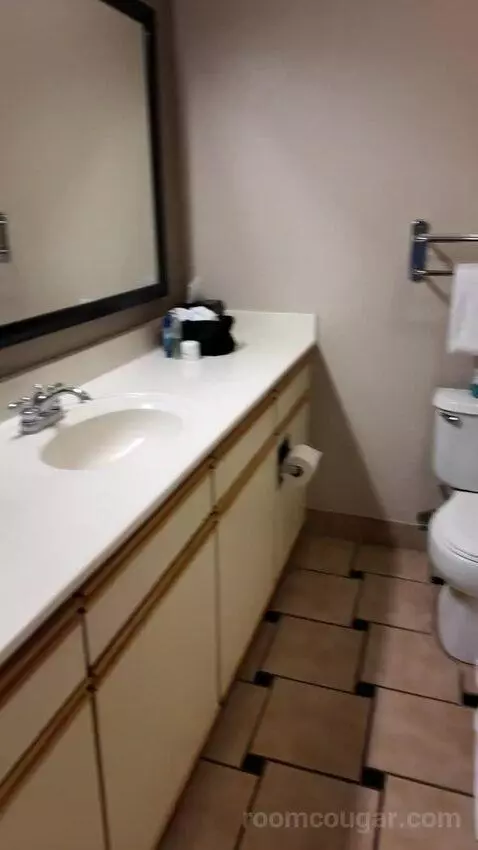 Double Suite bathroom picture #2