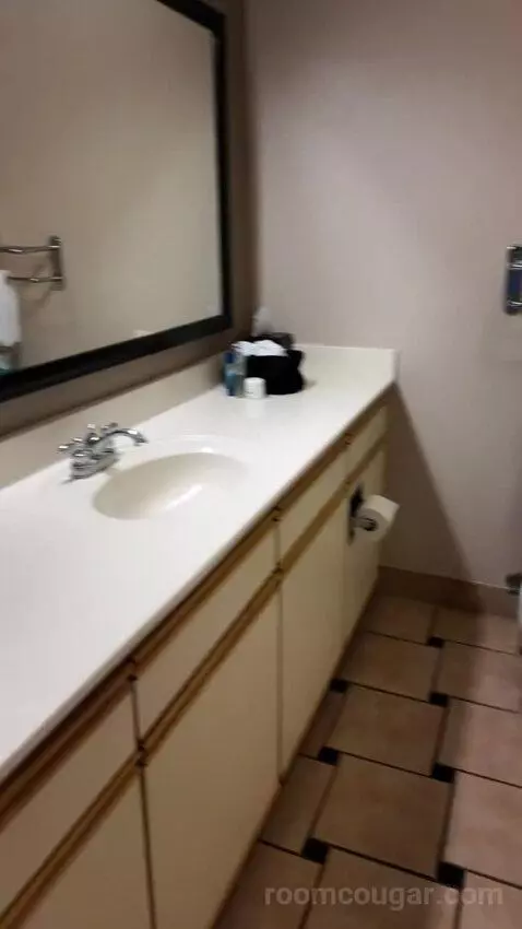 Double Suite bathroom picture #3