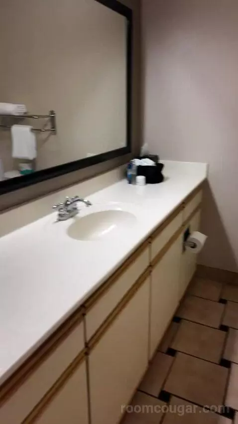 Double Suite bathroom picture #4
