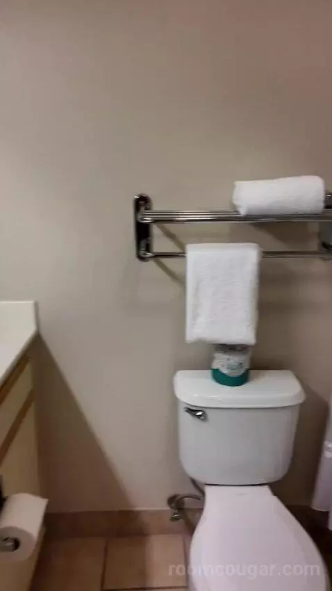 Double Suite bathroom picture #5
