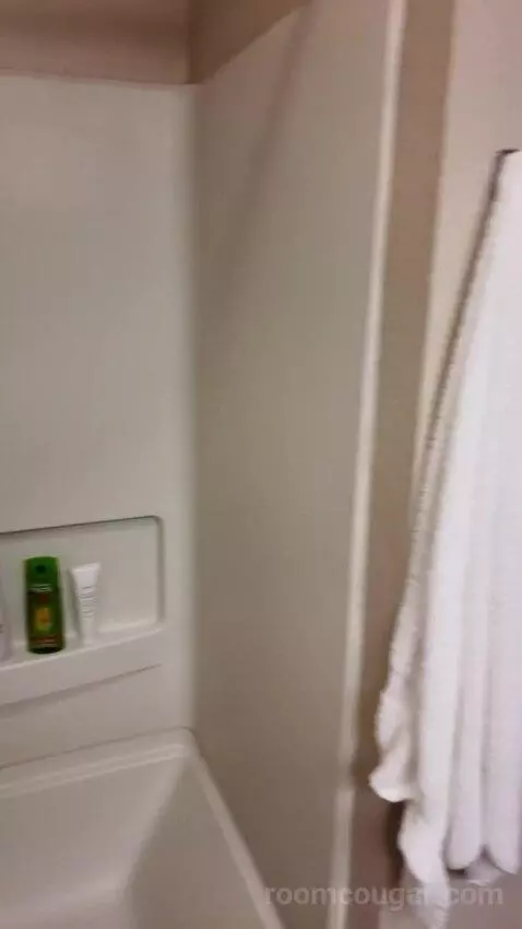 Double Suite bathroom picture #9