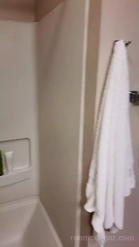 Double Suite bathroom picture #10