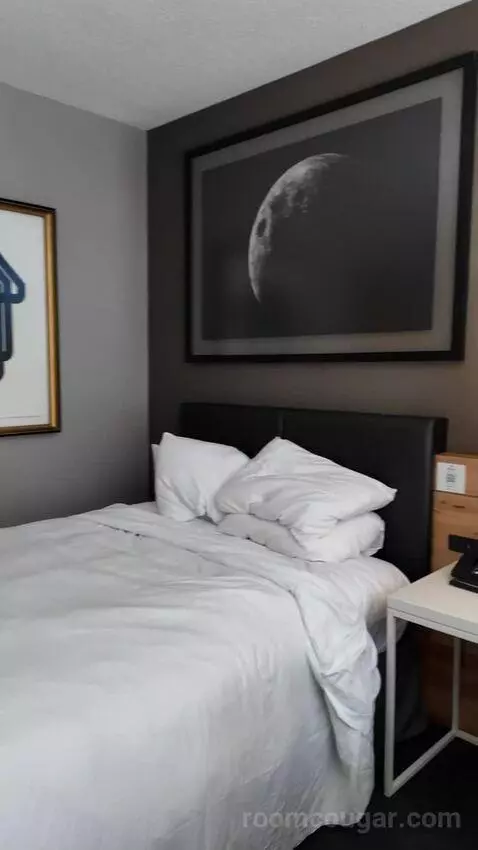 Double Room with Two Double Beds picture #14