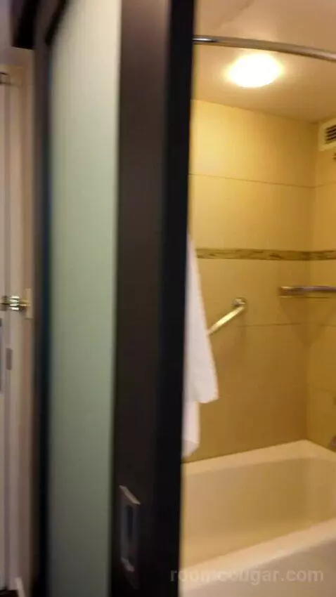 Double Room with Two Double Beds bathroom picture #3
