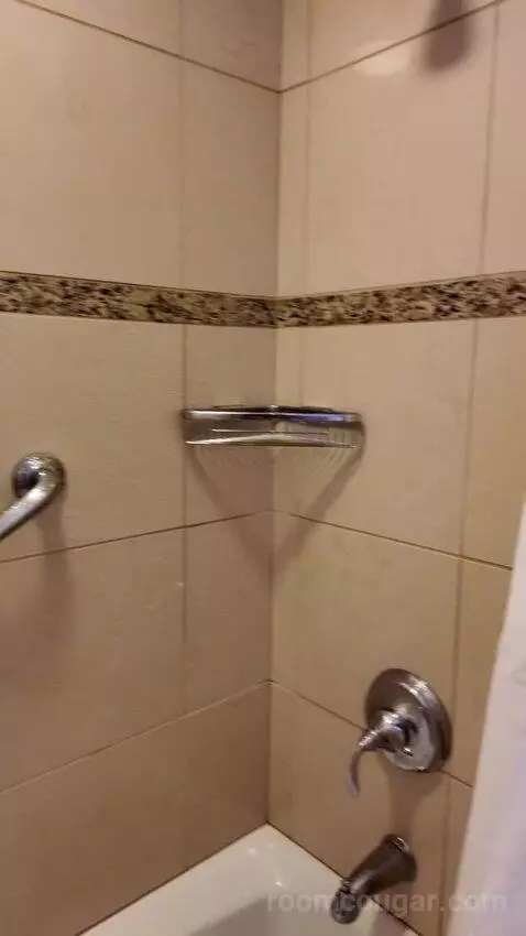 Double Room with Two Double Beds bathroom picture #8
