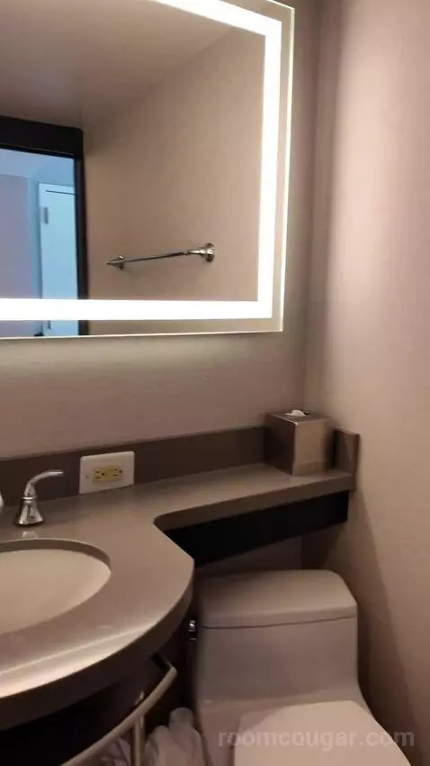 Double Room with Two Double Beds bathroom picture #12