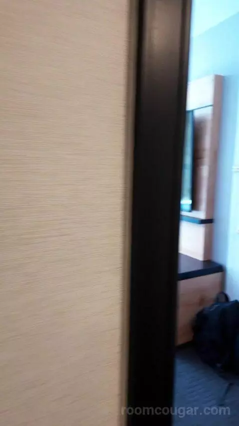 Double Room with Two Double Beds picture #21