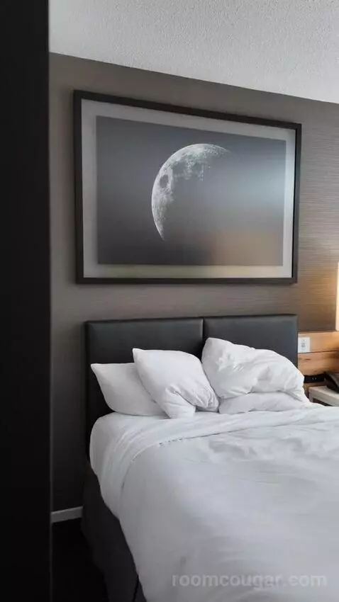 Double Room with Two Double Beds picture #23