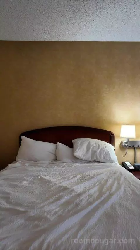 Queen Room with Two Queen Beds bed picture #1
