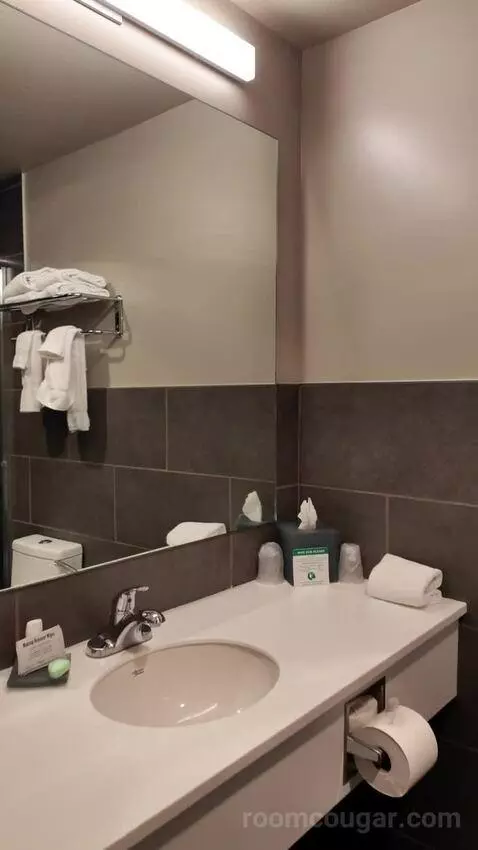Queen Room with Two Queen Beds bathroom picture #2