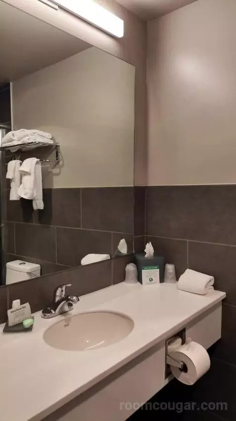 Queen Room with Two Queen Beds bathroom picture #3