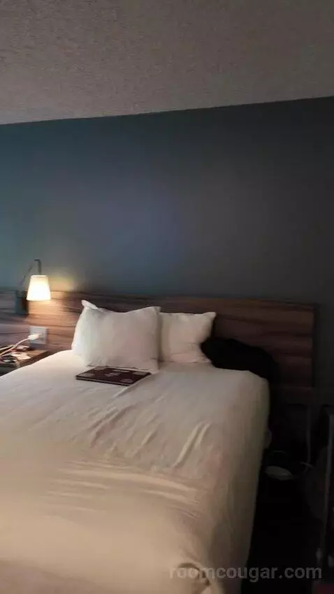 Queen Room with Two Queen Beds bed picture #2