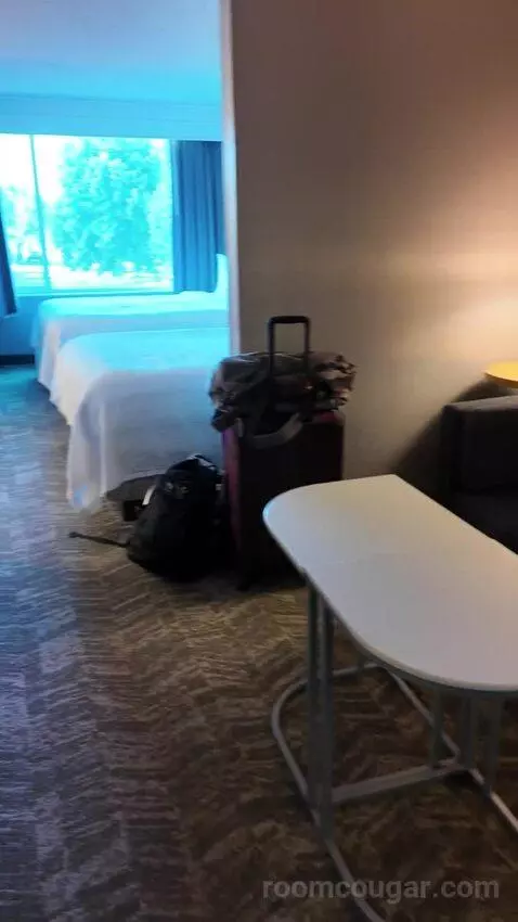 Queen Suite bed picture #1
