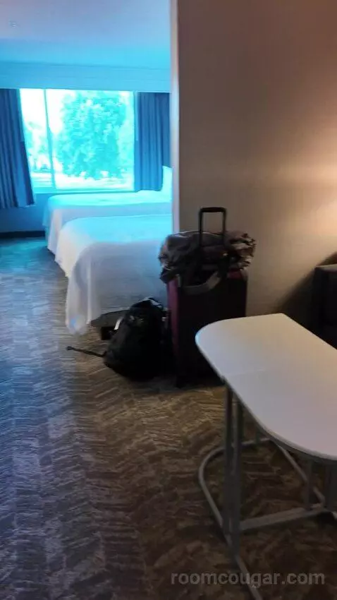 Queen Suite bed picture #2