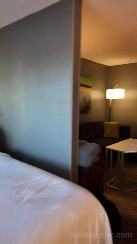Queen Suite bed picture #9