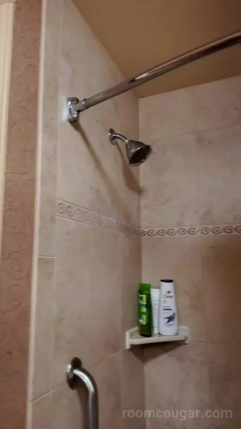 Deluxe Queen Room with Two Queen Beds bathroom picture #4