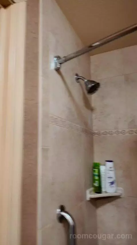 Deluxe Queen Room with Two Queen Beds bathroom picture #5