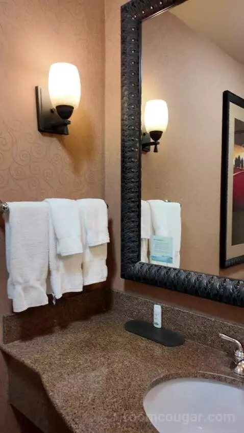 Deluxe Queen Room with Two Queen Beds bathroom picture #7