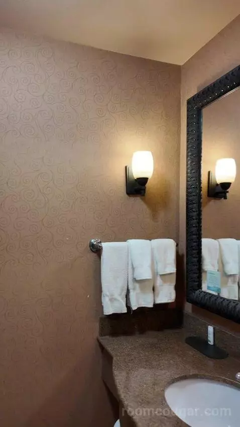 Deluxe Queen Room with Two Queen Beds bathroom picture #10