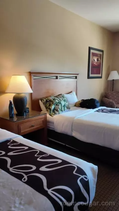 Deluxe Queen Room with Two Queen Beds bed picture #3