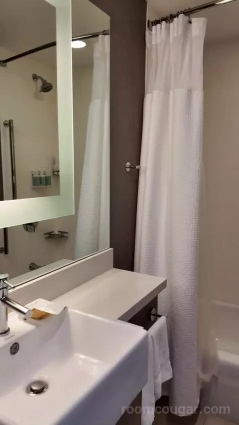 Suite with Two Queen Beds and Trundle Bed - Hearing Accessible bathroom picture #7