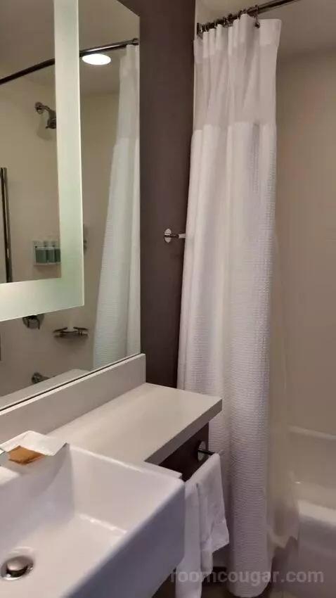Suite with Two Queen Beds and Trundle Bed - Hearing Accessible bathroom picture #8